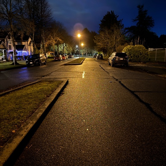 Meet your Posher, Quinn - Picture 1 of 1